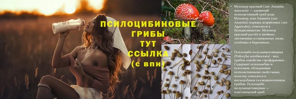 бутират Богородицк