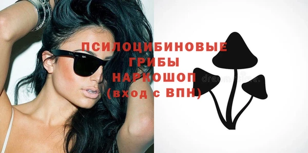 бутират Богородицк