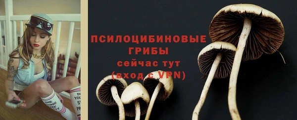 герыч Богородск
