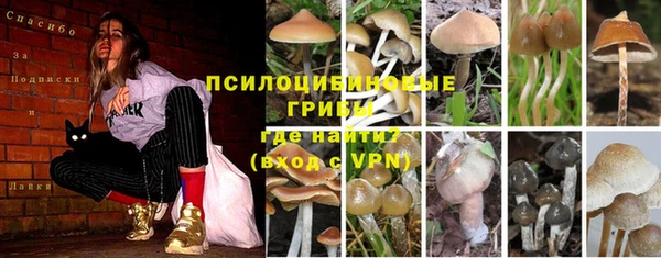 герыч Богородск