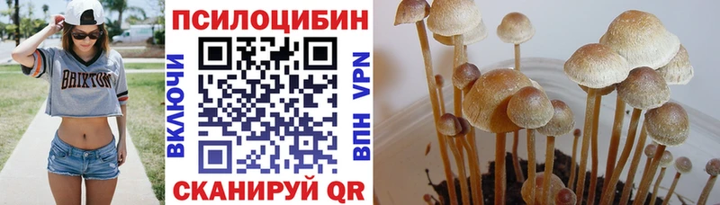 Галлюциногенные грибы Magic Shrooms  Купить закладки  Красноперекопск 